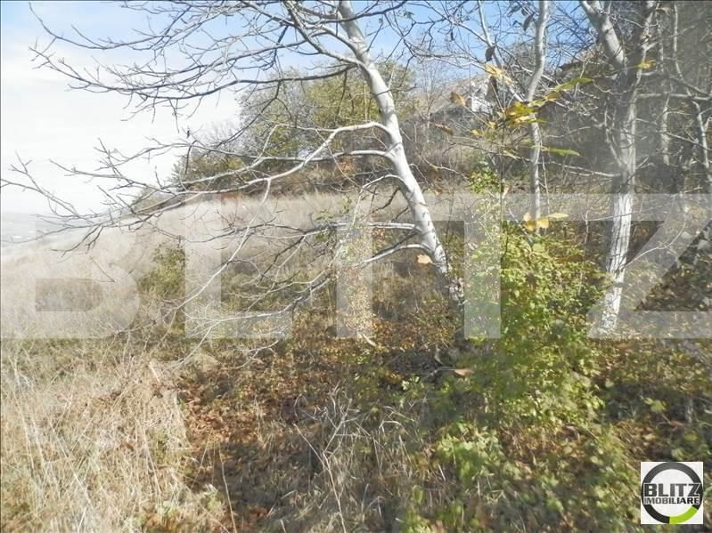 Teren de vânzare Gruia - 23174TV | BLITZ Cluj-Napoca | Poza5