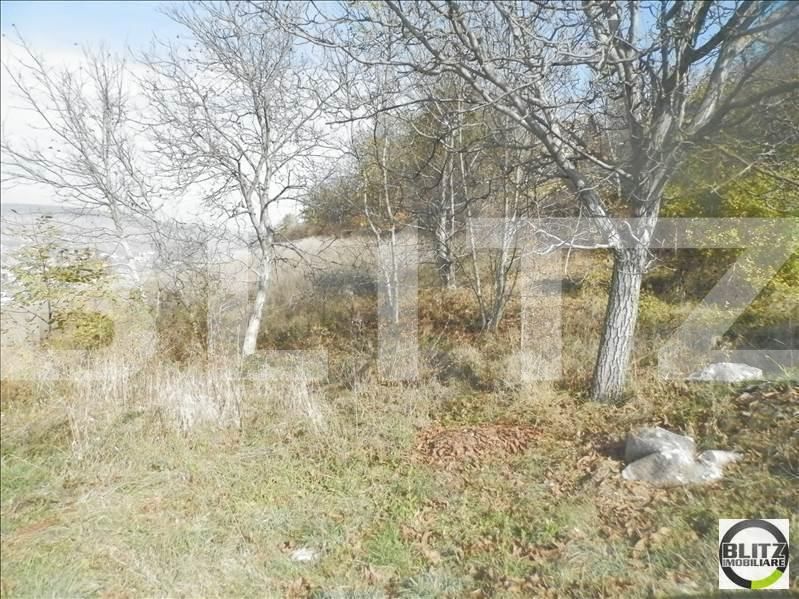 Teren de vânzare Gruia - 23174TV | BLITZ Cluj-Napoca | Poza2