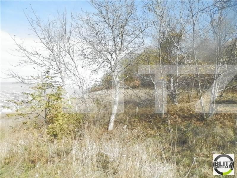 Teren de vânzare Gruia - 23174TV | BLITZ Cluj-Napoca | Poza4