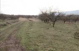 Vanzare teren cu 620 mp intr-o locatie linistita