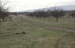 Vanzare teren cu 620 mp intr-o locatie linistita