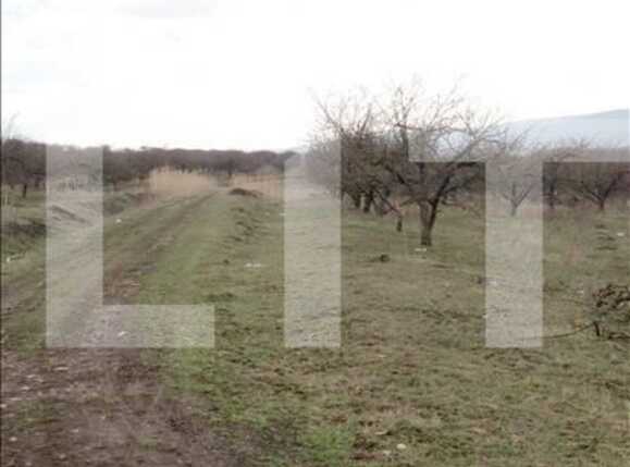 Teren de vânzare Iris - 23178TV | BLITZ Cluj-Napoca | Poza4