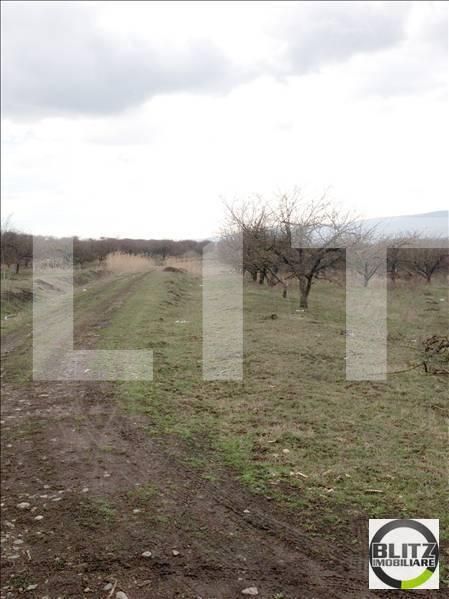 Teren de vânzare Iris - 23178TV | BLITZ Cluj-Napoca | Poza4