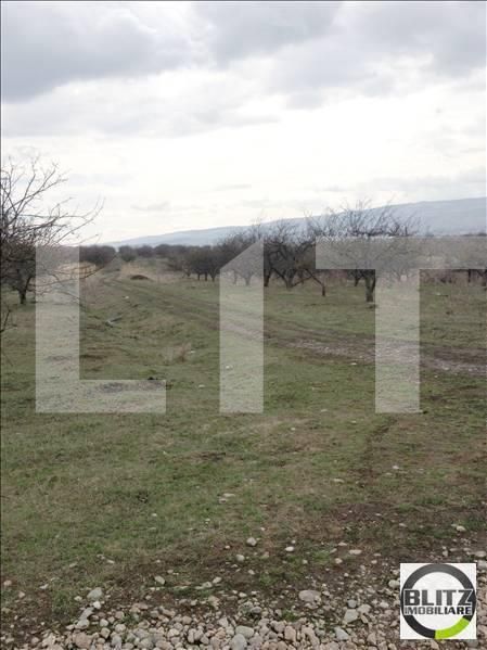 Teren de vânzare Iris - 23178TV | BLITZ Cluj-Napoca | Poza3