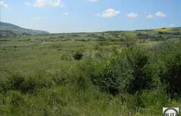 Teren extravilan de vanzare 7200 mp, front stradal 72 ml, zona linistita