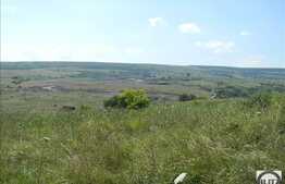 Teren extravilan de vanzare 7200 mp, front stradal 72 ml, zona linistita