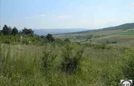 Teren extravilan de vanzare 7200 mp, front stradal 72 ml, zona linistita