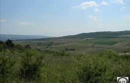 Teren extravilan de vanzare 7200 mp, front stradal 72 ml, zona linistita