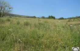 Teren extravilan de vanzare 7200 mp, front stradal 72 ml, zona linistita