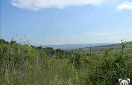 Teren extravilan de vanzare 7200 mp, front stradal 72 ml, zona linistita