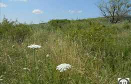 Teren extravilan de vanzare 7200 mp, front stradal 72 ml, zona linistita