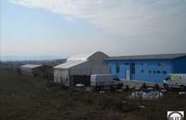 13800 mp in zona industriala.
