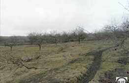 De vanzare teren, 533 mp cu front de 16.6 ml. Panorama deosebita!