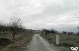 Teren 1600 mp, cu panorama deosebita, acces din strada Oasului