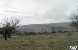 Teren 1600 mp, cu panorama deosebita, acces din strada Oasului