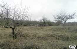 Teren 1600 mp, cu panorama deosebita, acces din strada Oasului