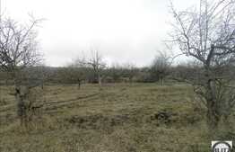 Teren 1600 mp, cu panorama deosebita, acces din strada Oasului