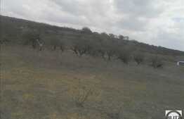 Teren de vanzare 639 mp, front 20 ml, zona linistita!