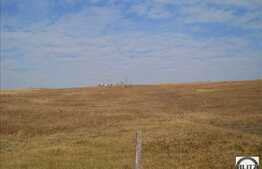 8000 mp in zona Bulevardul Muncii!