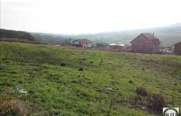 Teren cu PUZ si PUD, 417 mp, front de 19 ml, zona strazii Oasului!