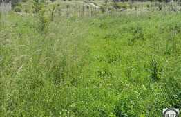 Vanzare teren 4100 mp, zona linistita de case si vile