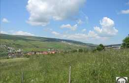 Vanzare teren 4100 mp, zona linistita de case si vile