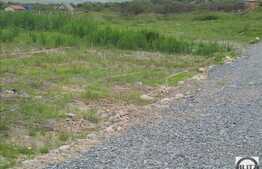 Teren de vanzare 752 mp, cu Autorizatie de constructie, cu proiect pentru casa