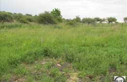 Teren de vanzare 752 mp, cu Autorizatie de constructie, cu proiect pentru casa