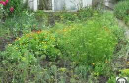 Teren de vanzare 400 mp, utilitati la front, zona linistita