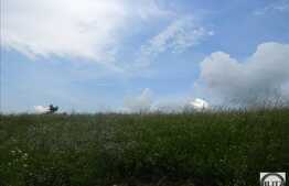 Teren de vanzare, 1000 mp, toate utilitatile la front, drum asfaltat, zona LIU!