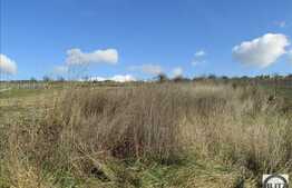 Vanzare teren 900 mp, front stradal 12,1 ml,  zona linistita de case si vile