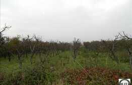 Teren de vanzare in zona Iris, 520 mp cu front de 16 ml. Expozitie sudica!