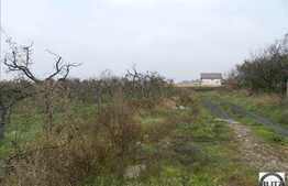 Teren de vanzare in zona Iris, 520 mp cu front de 16 ml. Expozitie sudica!