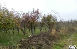 Teren de vanzare in zona Iris, 520 mp cu front de 16 ml. Expozitie sudica!