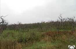 Teren de vanzare in zona Iris, 520 mp cu front de 16 ml. Expozitie sudica!