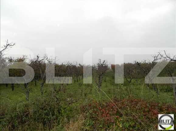 Teren de vânzare Iris - 23206TV | BLITZ Cluj-Napoca | Poza4