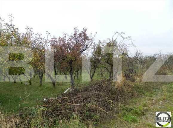 Teren de vânzare Iris - 23206TV | BLITZ Cluj-Napoca | Poza5