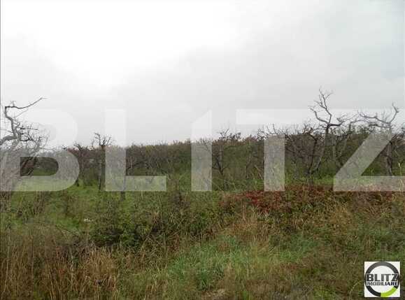 Teren de vânzare Iris - 23206TV | BLITZ Cluj-Napoca | Poza3