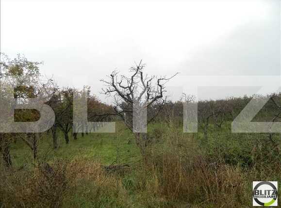 Teren de vânzare Iris - 23206TV | BLITZ Cluj-Napoca | Poza2