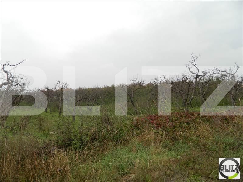 Teren de vânzare Iris - 23206TV | BLITZ Cluj-Napoca | Poza3