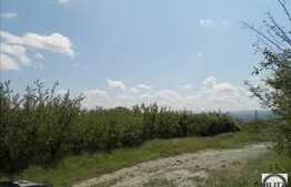 Vanzare teren 549 mp, front 16 ml, POT 35 % CUT 0.9, cu panorama