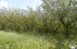 Vanzare teren 549 mp, front 16 ml, POT 35 % CUT 0.9, cu panorama