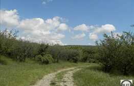 Vanzare teren 549 mp, front 16 ml, POT 35 % CUT 0.9, cu panorama