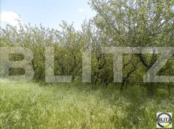 Teren de vânzare Iris - 23211TV | BLITZ Cluj-Napoca | Poza6
