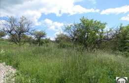 Vanzare teren, 1000 mp, 17,5 ml front stradal, zona linistita de case si vile