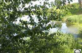 Casa De Lemn + Teren din Gheorgheni. Acces la LAC !