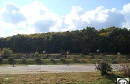 Teren cu perspective din Manastur! Zona deosebita!