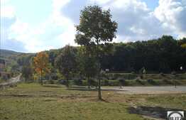 Teren cu perspective din Manastur! Zona deosebita!