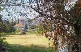 Teren pentru constructie bloc sau casa individuala!