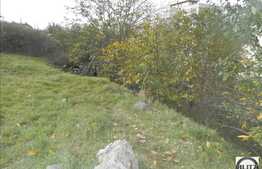 Teren de vanzare, 419 mp, front de 25 ml, utilitati in apropiere, zona de TOP